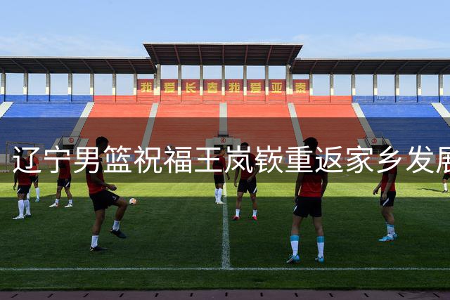 辽宁男篮祝福王岚嵚重返家乡发展顺遂